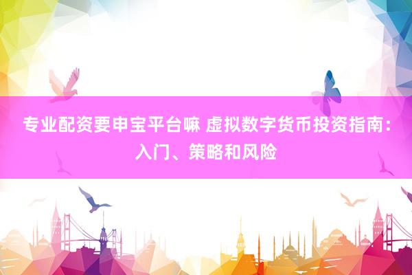 专业配资要申宝平台嘛 虚拟数字货币投资指南：入门、策略和风险