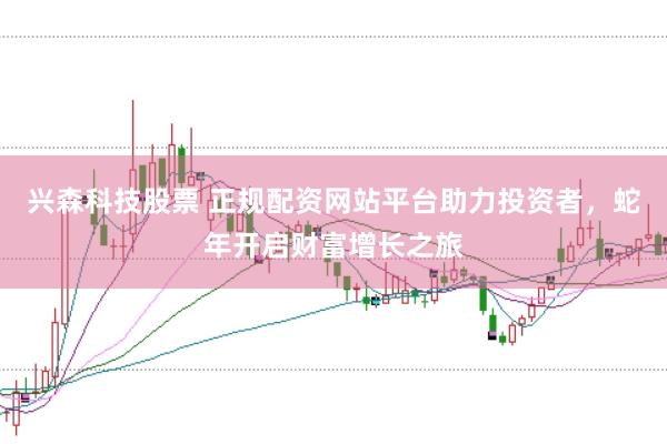兴森科技股票 正规配资网站平台助力投资者，蛇年开启财富增长之旅