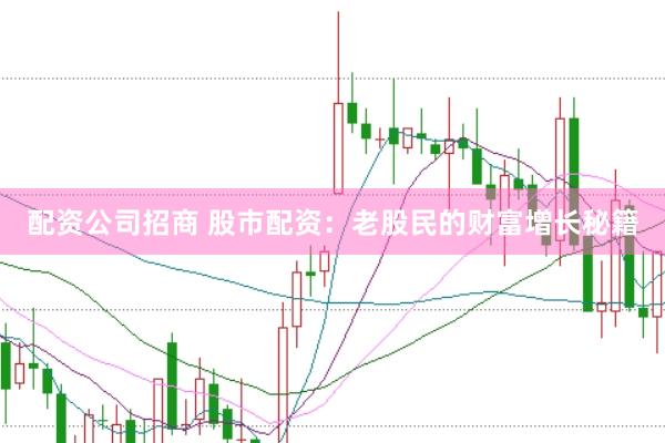 配资公司招商 股市配资：老股民的财富增长秘籍