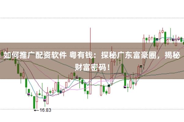 如何推广配资软件 粤有钱：探秘广东富豪圈，揭秘财富密码！