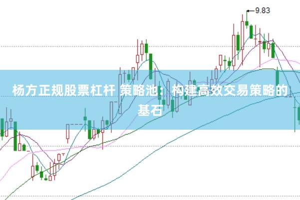 杨方正规股票杠杆 策略池：构建高效交易策略的基石