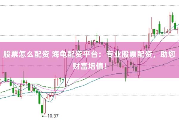 股票怎么配资 海龟配资平台：专业股票配资，助您财富增值！