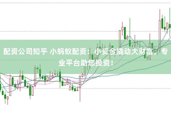 配资公司知乎 小蚂蚁配资：小资金撬动大财富，专业平台助您投资！