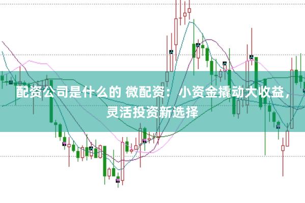 配资公司是什么的 微配资：小资金撬动大收益，灵活投资新选择