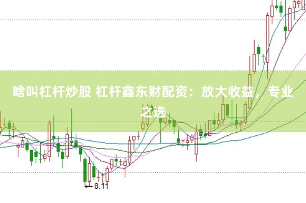 啥叫杠杆炒股 杠杆鑫东财配资：放大收益，专业之选