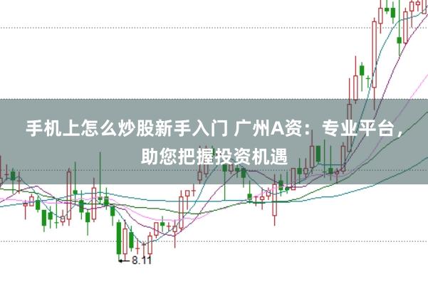 手机上怎么炒股新手入门 广州A资：专业平台，助您把握投资机遇