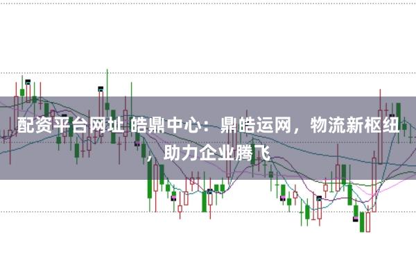 配资平台网址 皓鼎中心:鼎皓运网,物流新枢纽,助力企业腾飞