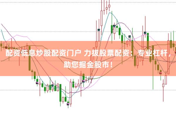 配资低息炒股配资门户 力拔股票配资：专业杠杆，助您掘金股市！
