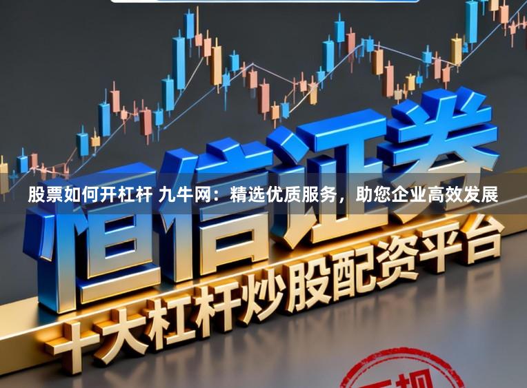 股票如何开杠杆 九牛网：精选优质服务，助您企业高效发展